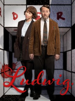 Ludwig (season 1) tv show poster