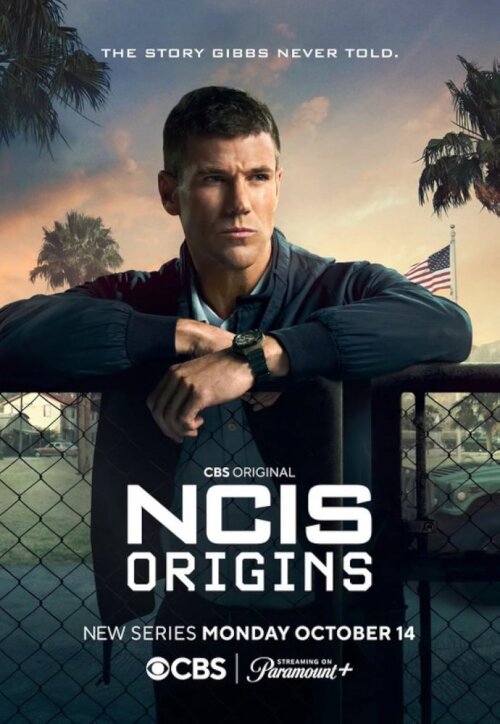 NCIS: Origins (season 1) tv show poster