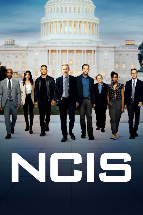 NCIS: Naval Criminal Investigative Service (season 22)