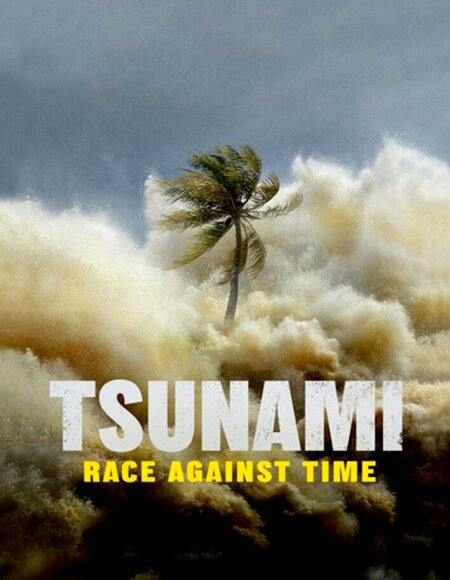 Tsunami: Race Against Time (season 1)