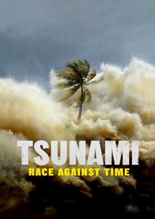 Tsunami: Race Against Time (season 1) tv show poster