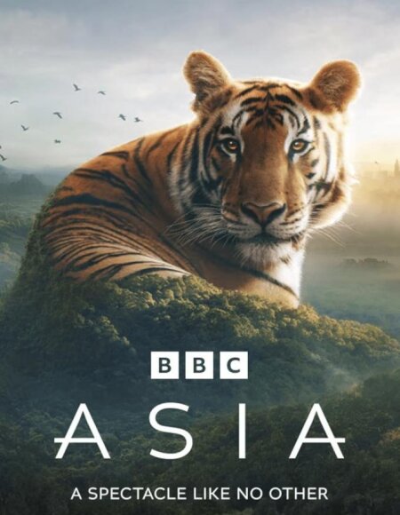 Asia (season 1)