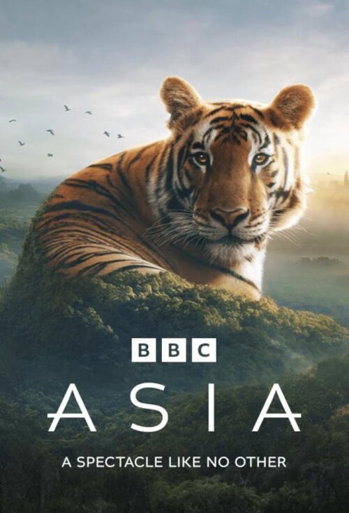 Asia (season 1) tv show poster