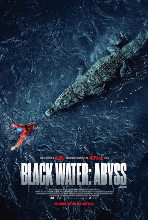 Black Water: Abyss (2020) movie poster