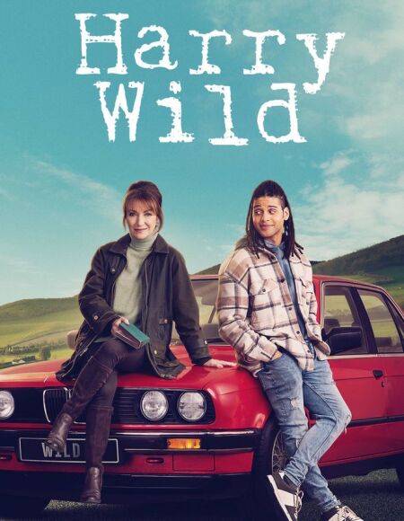 Harry Wild (season 4)