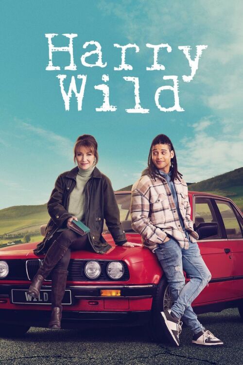 Harry Wild (season 4)