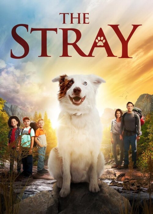 The Stray (2017)