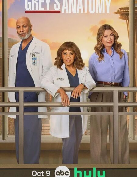 Grey's Anatomy (season 22)