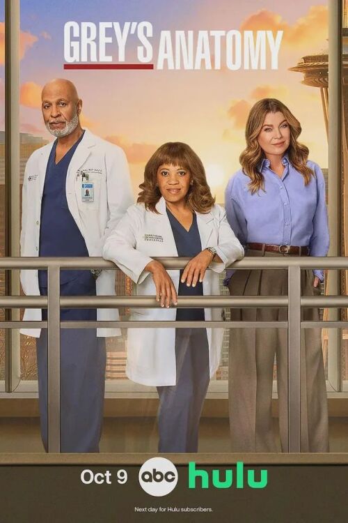 Grey's Anatomy (season 22)