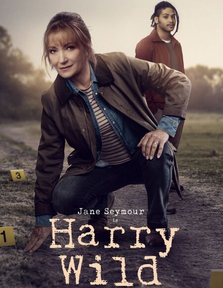 Harry Wild (season 5)