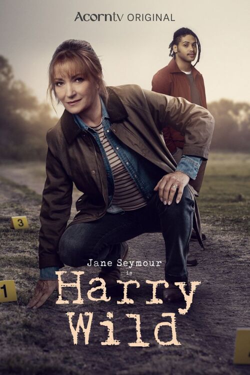 Harry Wild (season 5)