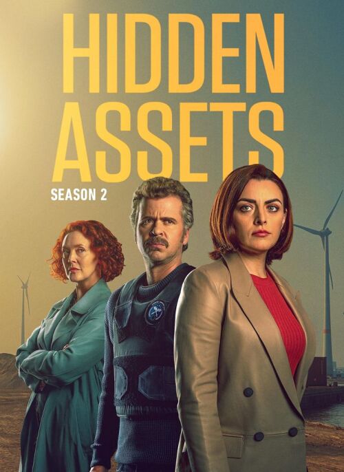 Hidden Assets (season 2) tv show poster